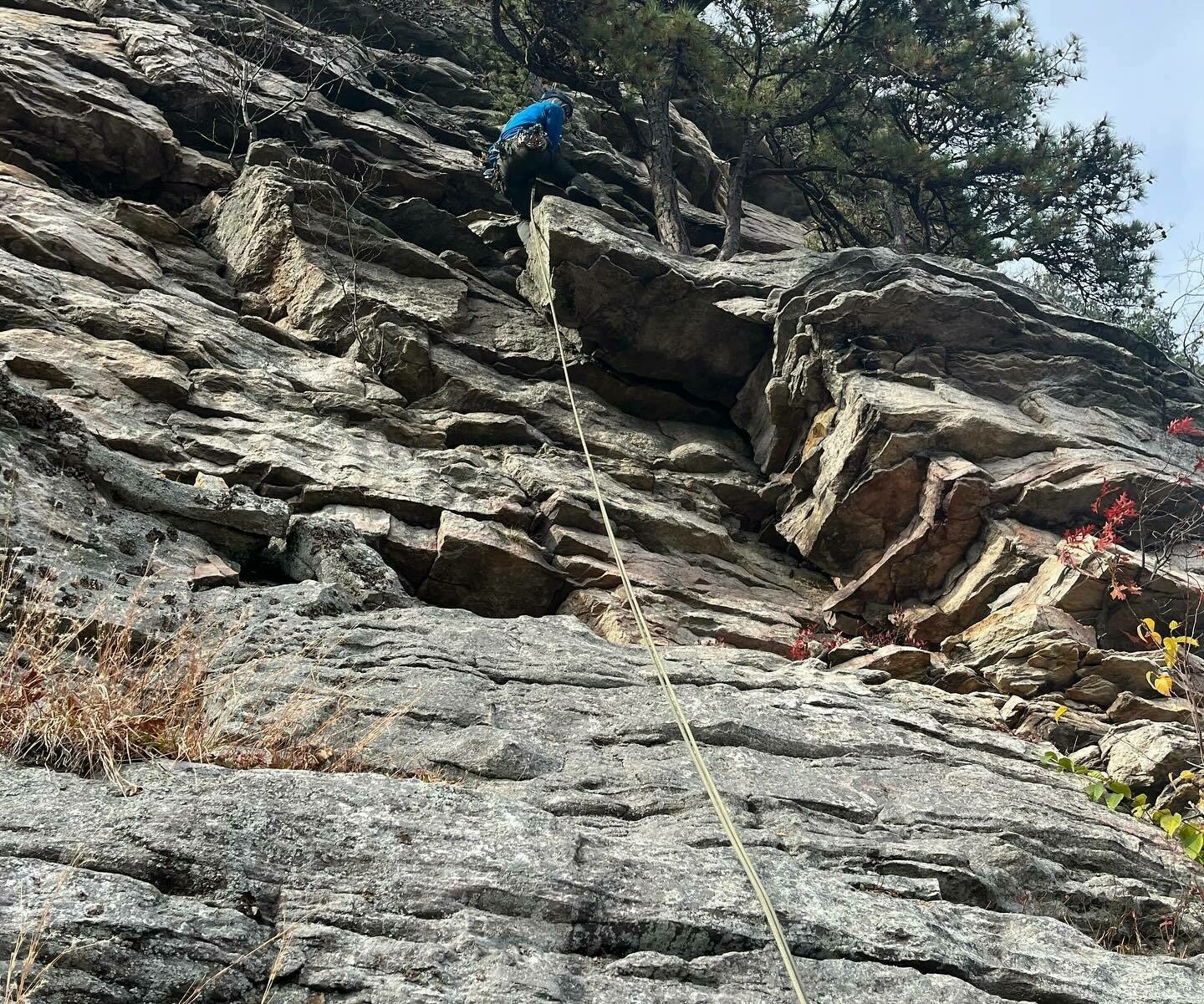 A person is rock climbing on a rugged cliff with scattered foliage, under an overcast sky. There is a visible climbing rope.