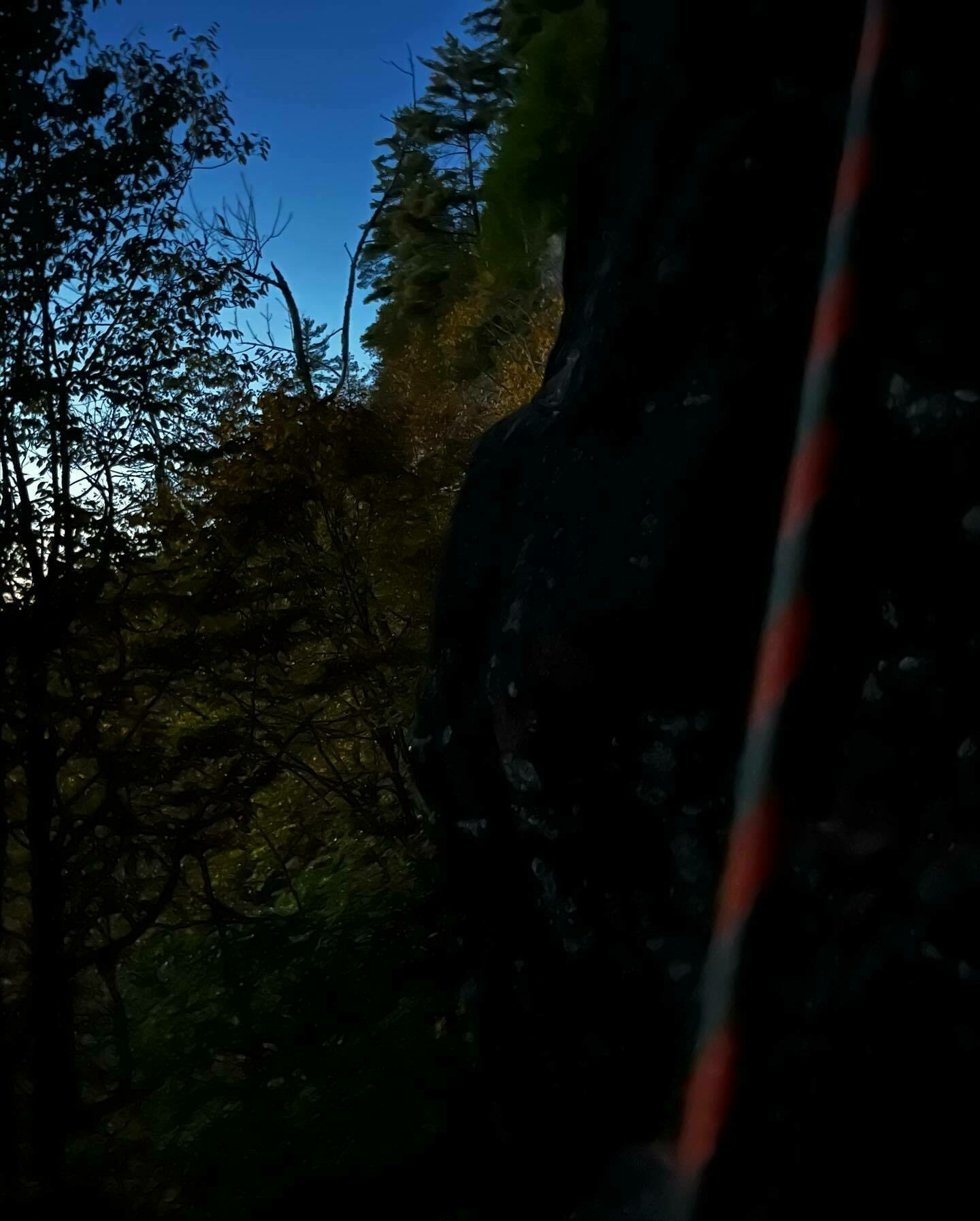 Climbing rope runs alongside a shadowy rock face amidst trees in dim twilight.
