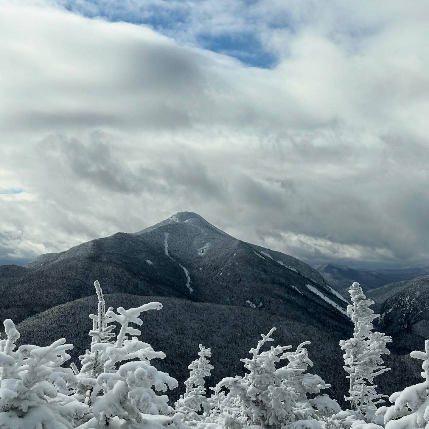 Snow-covered trees stand still in the foreground while a distant mountain peak rises under a cloudy sky creating a serene winter landscape.