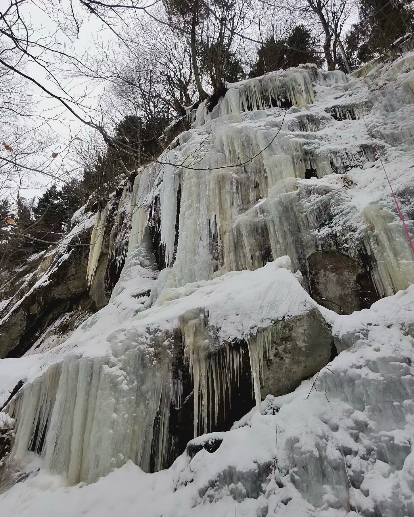 Icicles hanging from a steep rocky cliff covered in snow surrounded by leafless trees in a wintery outdoor setting.