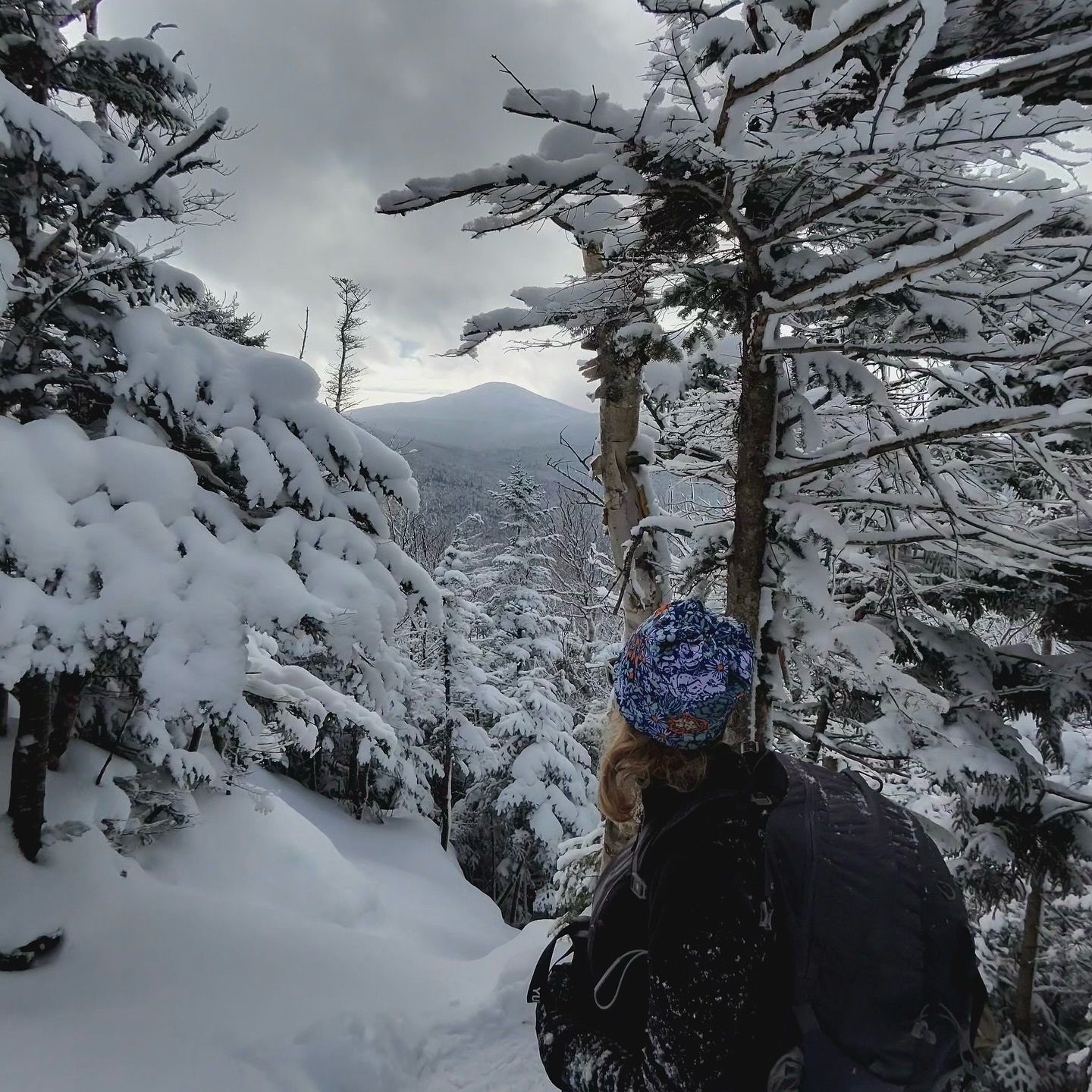 Person with backpack standing looks at snowy mountain through snow-covered trees in a wintry forest.