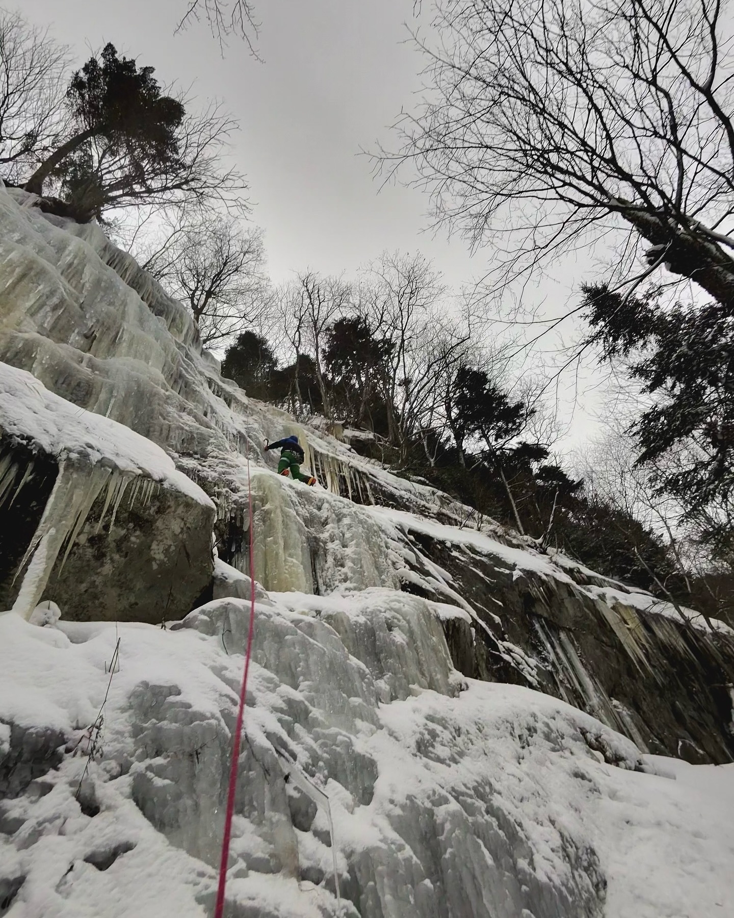 Climber ascends an icy cliff on a snowy slope surrounded by leafless trees under a cloudy sky.