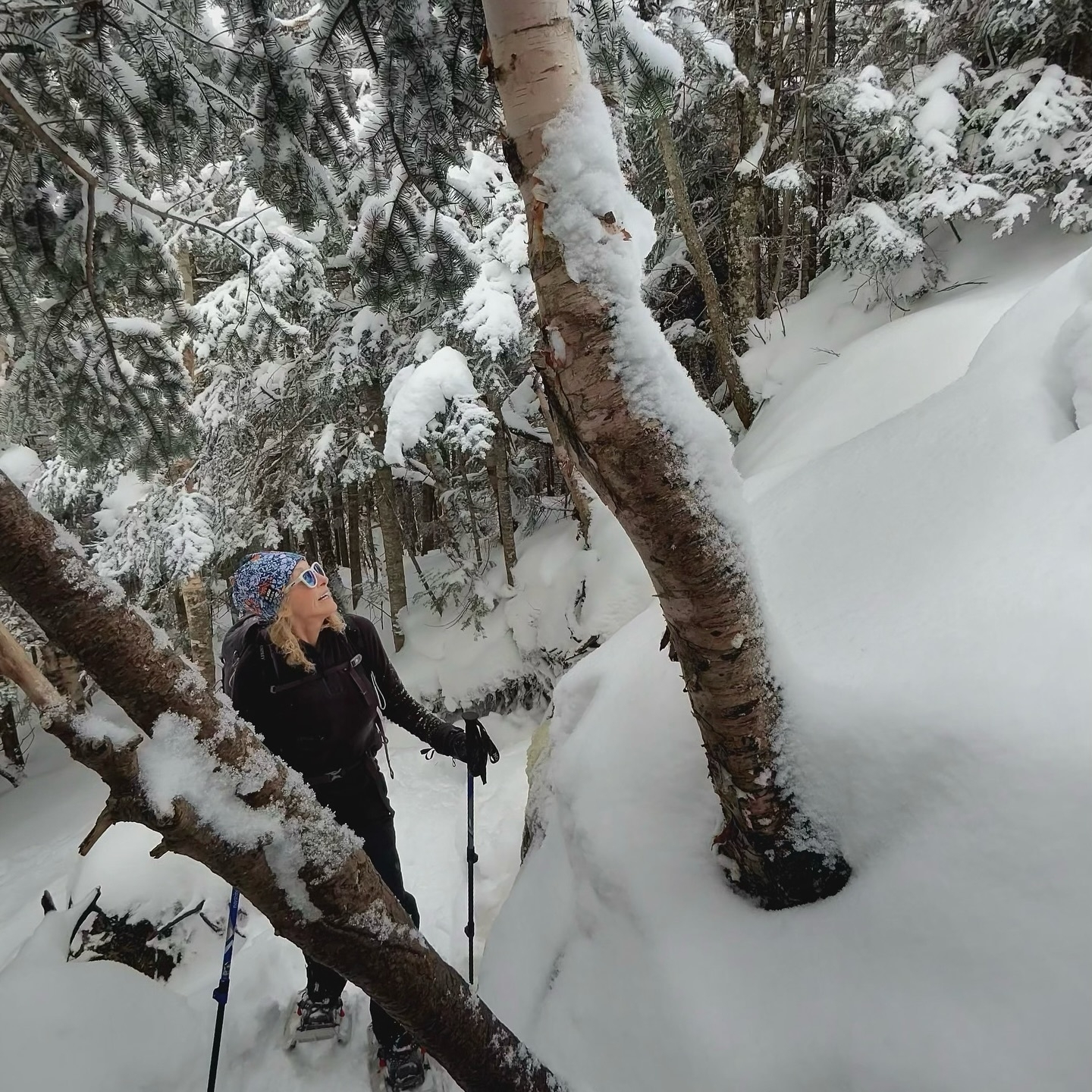 A person wearing winter gear is hiking with poles through a snowy forest, surrounded by snow-laden trees and a peaceful, wintry landscape.
