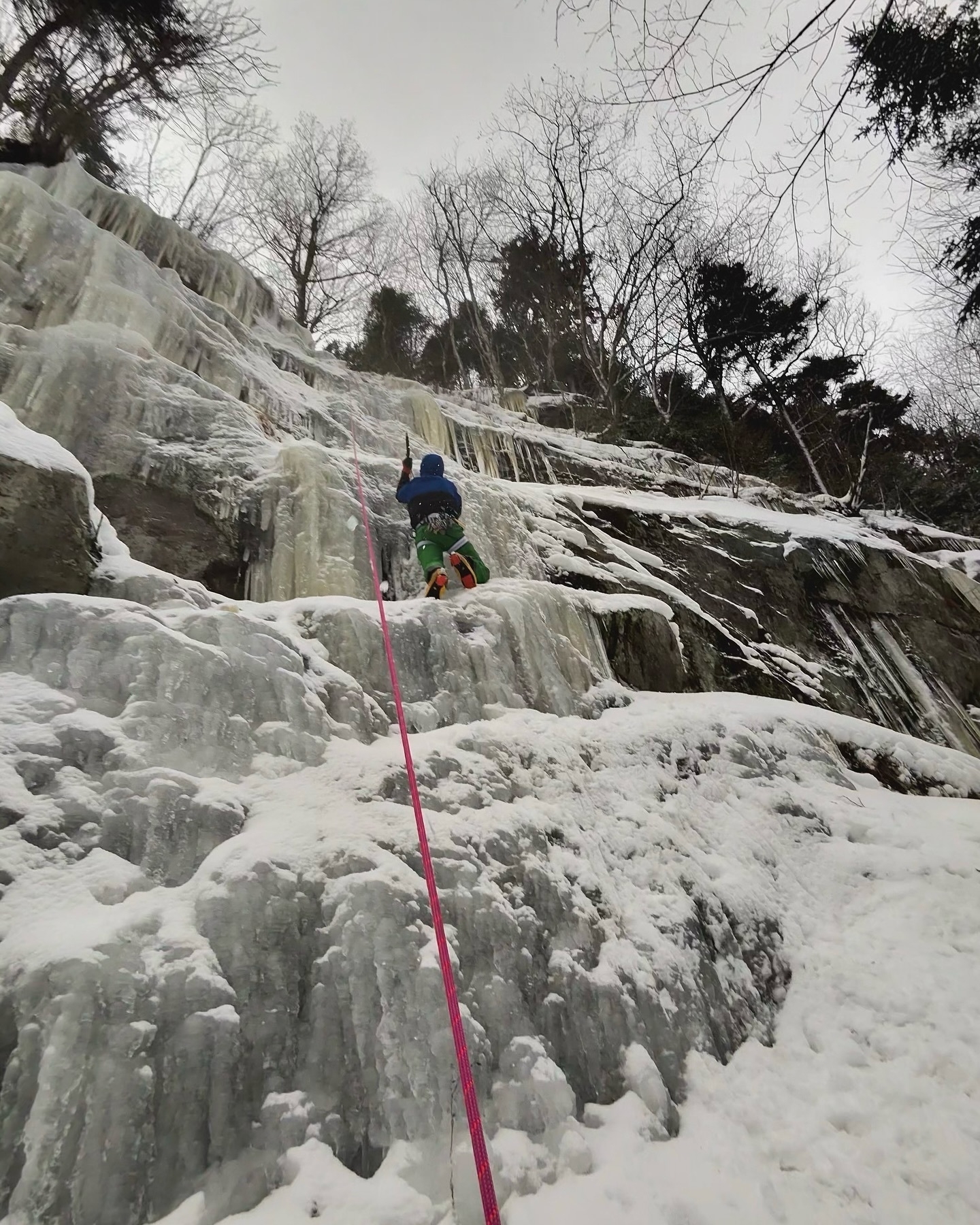 Climber scaling an icy cliff using ice axes and ropes surrounded by a snowy landscape with leafless trees in the background.