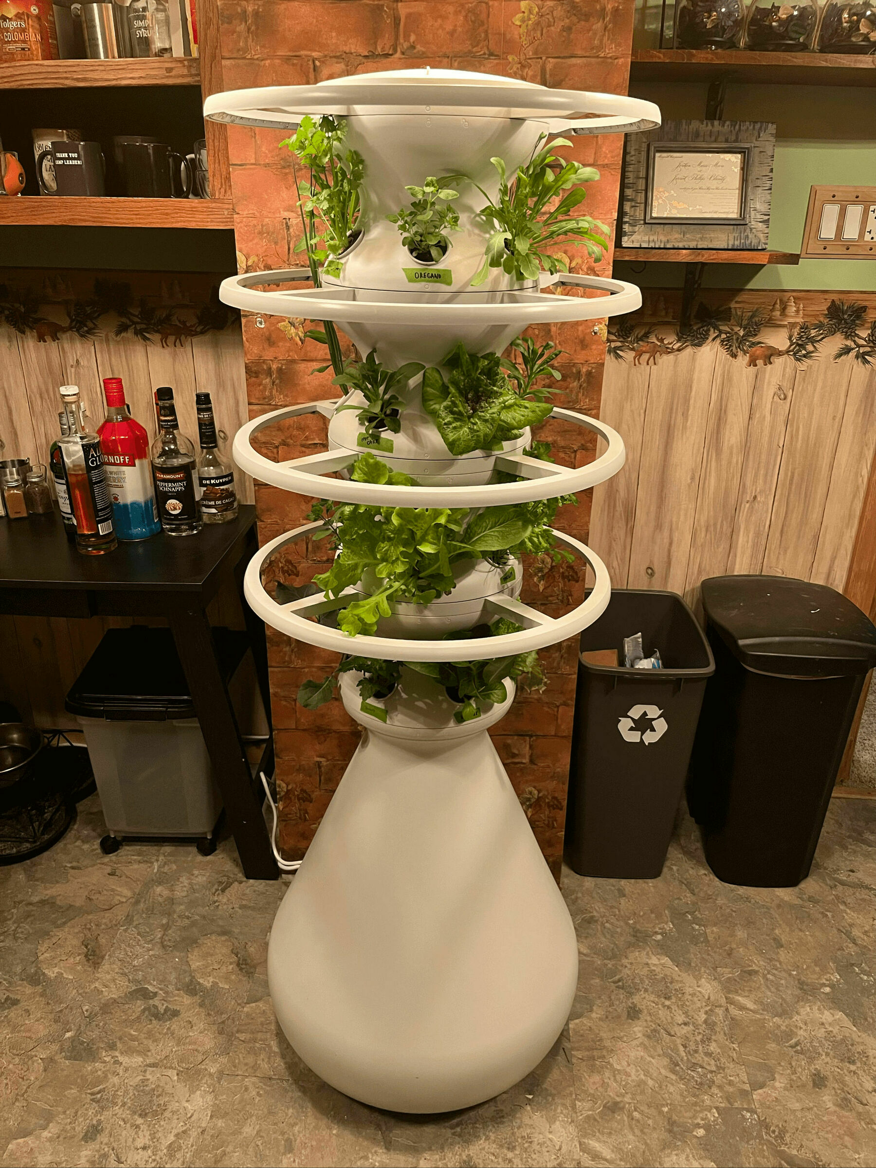 Farmstand with plant growth.