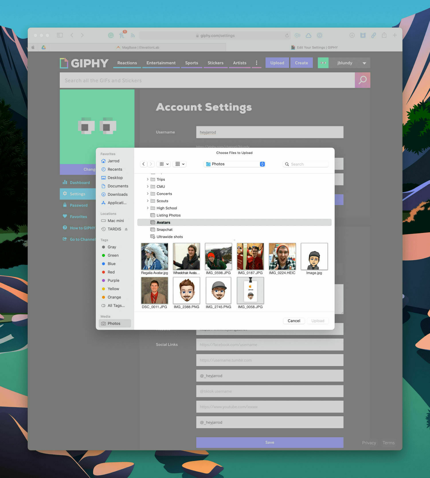 The Safari photo picker UI.