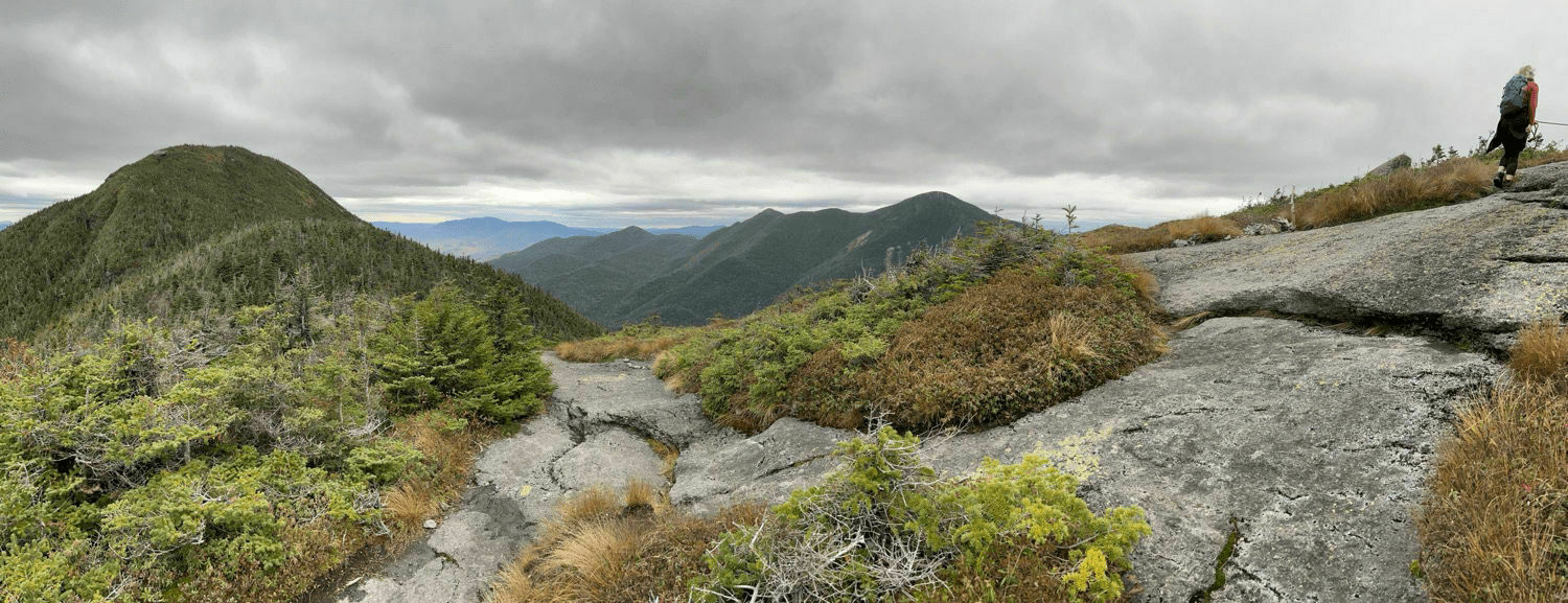 Panoramic view on Mt. Colden.
