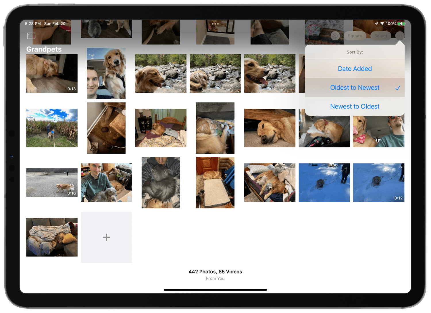The photos app sorting options.
